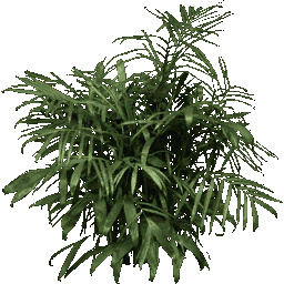 foliage256 texture from lhhotelbg.txd (256x256 dxt1)