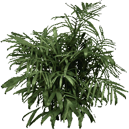 foliage256 texture from nbdecoshop02.txd (256x256 dxt1)