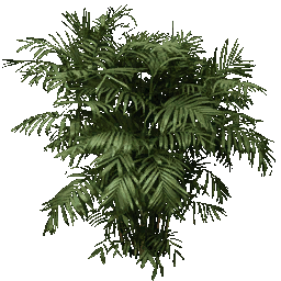 fuzzyplant256 texture from centralresac1.txd (256x256 dxt1)