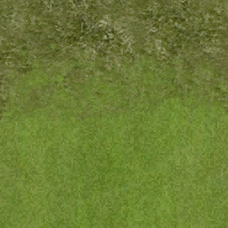 golf_fairway3 texture from golf3.txd (256x256 dxt1)