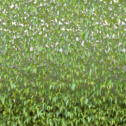 golf_hedge1 texture from gf_hedge1.txd (256x256 dxt3)