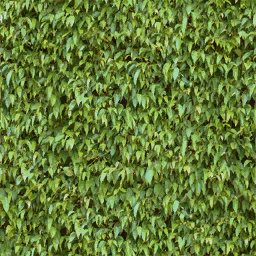 golf_hedge1 texture from ocnmiamistrip.txd (256x256 dxt1)