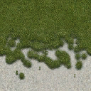 grass2sand texture from nbeachgen.txd (128x128 dxt1)