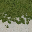 grass2sand32 texture from lodnbeachbtbig.txd (32x32 dxt1)