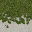 grass2sand32 texture from nbeach_lod.txd (32x32 dxt1)