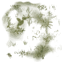 grassatch texture from grasspatch.txd (128x128 dxt3)
