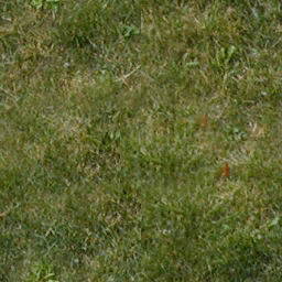 grassgrn256 texture from air_carshow.txd (256x256 dxt1)