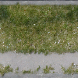 grasspave256 texture from lithawaste.txd (256x256 dxt1)