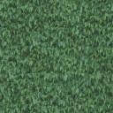 hedge2_128 texture from swashlandb.txd (128x128 dxt1)