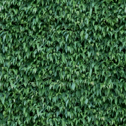 hedge2_256 texture from nbtrooftop.txd (256x256 dxt1)