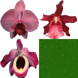 hot_flowers2 texture from hot_roomtrans.txd (256x256 dxt3)
