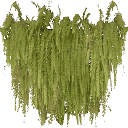 kb_balcony_ferns texture from dk_houses.txd (256x256 dxt1)