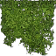 kb_ivy_256 texture from generic.txd (64x64 dxt3)