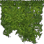 kb_ivy_64 texture from lodwashsth.txd (64x64 dxt3)