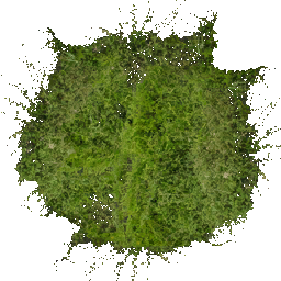 kbgrass_test2 texture from shared_beach.txd (256x256 dxt1)
