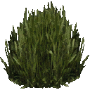 kbplanter_plants1 texture from centralresac1.txd (128x128 dxt1)