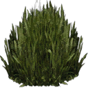 kbplanter_plants1 texture from generic.txd (128x128 dxt3)
