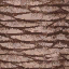 kbtree3_test texture from generic.txd (64x64 dxt1)