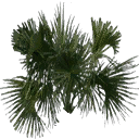 kbtree4_test texture from generic.txd (128x128 dxt3)