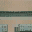 lhhospital texture from islandlolodm.txd (32x32 dxt1)