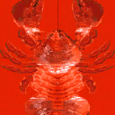 lobster texture from lobster.txd (128x128 dxt1)