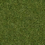 lod2_Grass_64HV texture from lododriven.txd (64x64 dxt1)