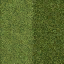 lod_Grass_lawn_128HV texture from lod_man_grnds.txd (64x64 dxt1)