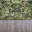 lod_dockhedge texture from islandmanext1.txd (32x32 dxt1)