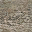 lod_nwall10smlss32 texture from cop_fake_ext03.txd (32x32 dxt1)
