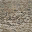 lod_nwall10smlss32 texture from nbeach_lod.txd (32x32 dxt1)