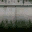 lod_sea_wall_temp texture from islandlolodm.txd (32x32 dxt1)