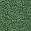 lodhedge2_64 texture from lodwshsth99.txd (64x64 dxt1)