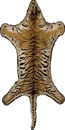 man_tigr_rug texture from hi_cutsdrm_3.txd (128x256 dxt3)