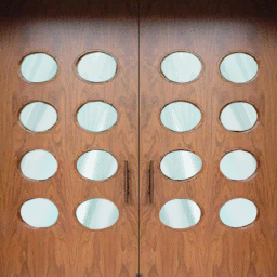 ml_bookdoor texture from ml_books.txd (256x256 dxt3)
