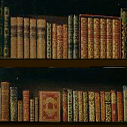ml_books2 texture from ml_books.txd (256x256 dxt1)
