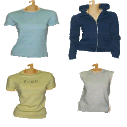 ml_clothes1 texture from ml_clothes.txd (256x256 dxt3)