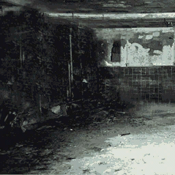 muck_shse3 texture from hi_cutsafehoos.txd (256x256 dxt1)