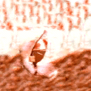 nt_mobmeat1 texture from hot_mobint.txd (128x128 dxt1)