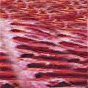 nt_mobmeat2 texture from hot_mobint.txd (128x128 dxt1)