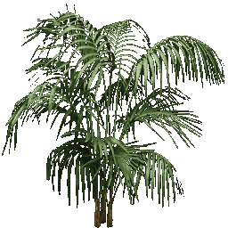 planta256 texture from gfpalms.txd (256x256 dxt1)