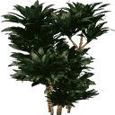 plantc256 texture from generic.txd (128x128 dxt3)