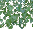 sjmboosh1bmp texture from lhaitiblksick.txd (128x128 dxt3)