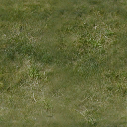 sjmrufGRS256 texture from lhaitiblkhuty.txd (256x256 dxt1)