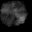 smoke5 texture from particle.txd (32x32 dxt1)