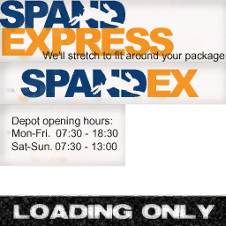 spandex texture from stardepot.txd (256x256 dxt1)