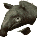 tapir_heed3_128 texture from yachttings.txd (128x128 dxt1)