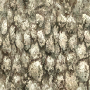 villa rough wall texture from star2.txd (128x128 dxt1)