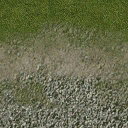 ws_gravel2grass128 texture from shared_beach.txd (128x128 dxt1)