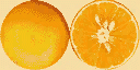 yt_orange texture from yachttings.txd (128x64 dxt1)