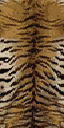 yt_tigr texture from yachttings.txd (64x128 dxt1)